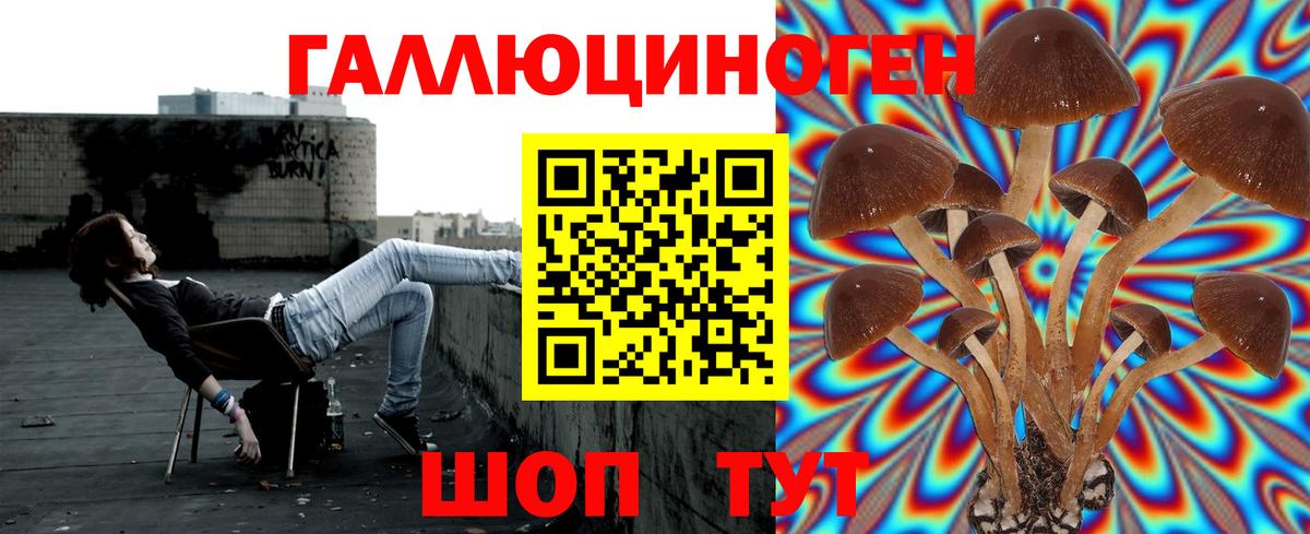 Галлюциногенные грибы мухоморы Дагестанские Огни